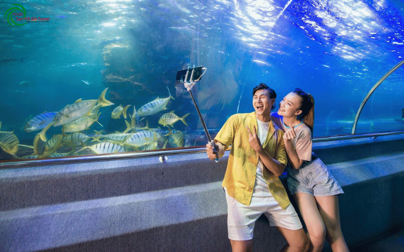 Sea-World-vinwonders-nha-trang