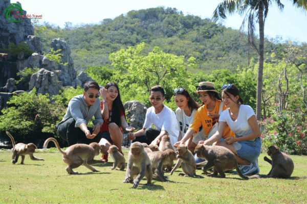 Vé Đảo Khỉ Nha Trang
