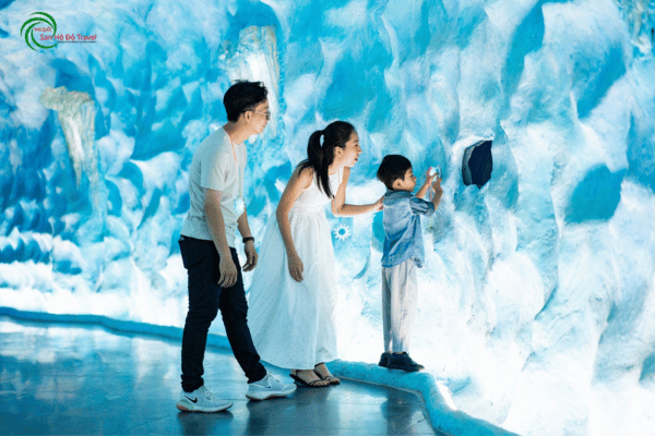 Vé Ice Jungle Phú Quốc