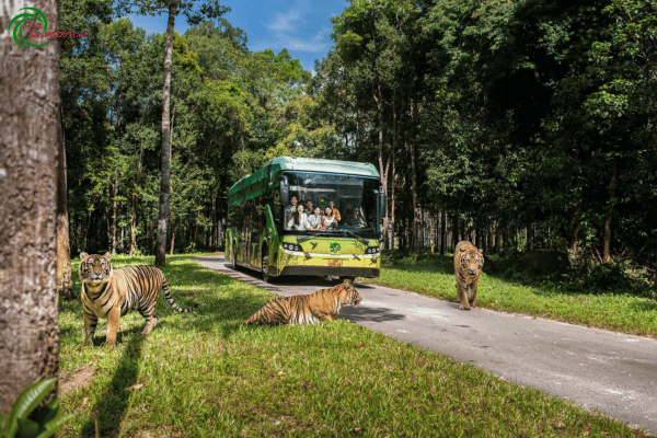 Tour Bắc Đảo Kết Hợp VinWonders và Safari Phú Quốc