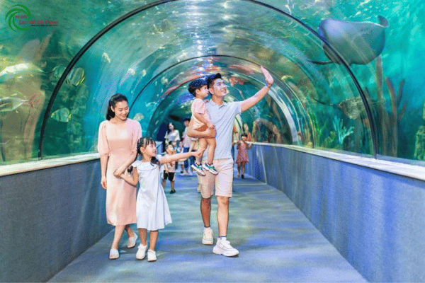 Vé VinKE Và Aquarium Times City